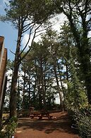 Ninespavill