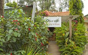 Olive Gardens Hotel Kampala