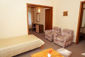 Hotel Bor