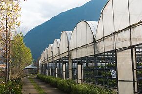 Tai Yi Red Maple Resort