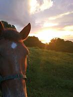 Rancho Juancho