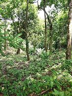 Rancho Juancho