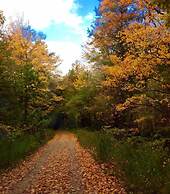 Mountain Ash Farm Country Manor
