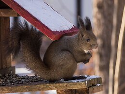 The squirrel's guesthouse Canterbury