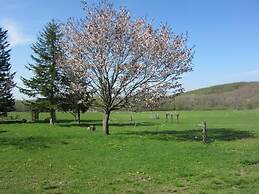 Yorkshire Farm