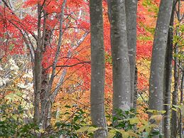Madarao Elm Pension