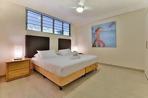 Frangipani 104