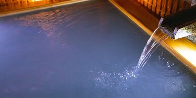 Business Hotel Wako