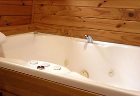 Fox Glacier Lodge