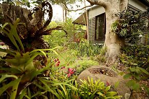 Mt Warning Rainforest Park