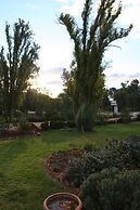 Newell Motor Inn - Narrandera