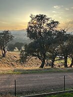 Burnt Creek Cottages Mansfield
