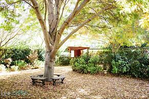 Tree Elle