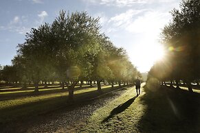 Adina Vineyard