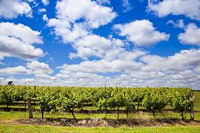 Adina Vineyard