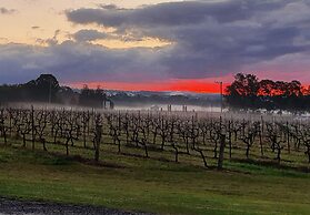 Adina Vineyard