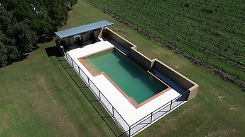 Adina Vineyard