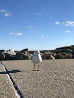 Albany Foreshore Guest House