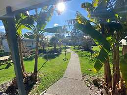 The White Elephant Accommodation - Hostel