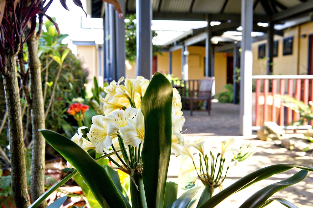 Vintages Accommodation