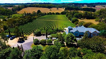 Morning Sun Vineyard