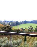 Morning Sun Vineyard