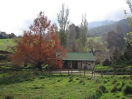 Edelweiss Cottage B&B