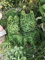 Topiary Haven