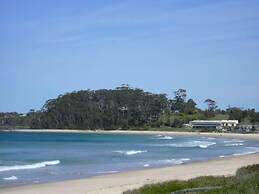 Mollymook Cove Apartments