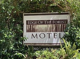 Edge of the Forest