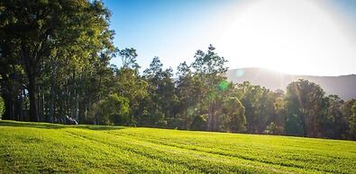 Elfin Hill Country Accommodation