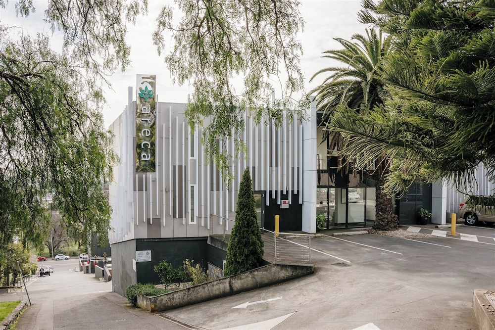 Areca Launceston