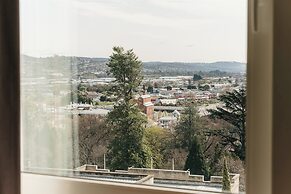 Areca Launceston