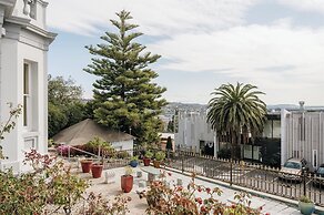 Areca Launceston