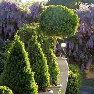 Bowral Road Bed and Breakfast