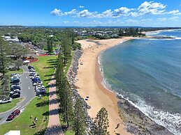 Norfolks on Moffat Beach