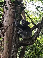 Wanderers Retreat Port Stephens