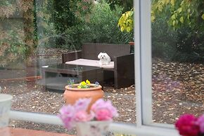 Must Love Dogs B&b