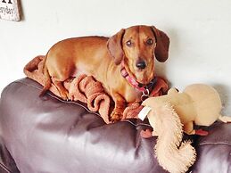 Must Love Dogs B&b