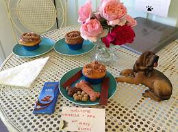 Must Love Dogs B&b