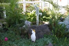 Kingfisher Motel