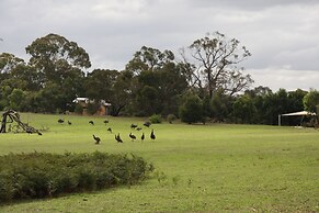 Boroka Downs