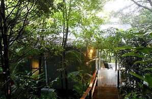 Treetops Accommodation Montville