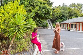 Black Forest Motel