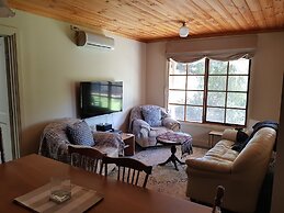 Amy's House
