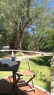 Amy's House