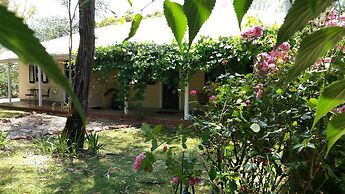 Amy's House