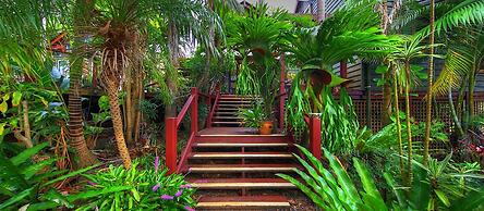 Maleny Tropical Retreat Balinese B&B