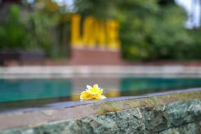 Medori Putih Homestay