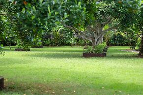 Medori Putih Homestay